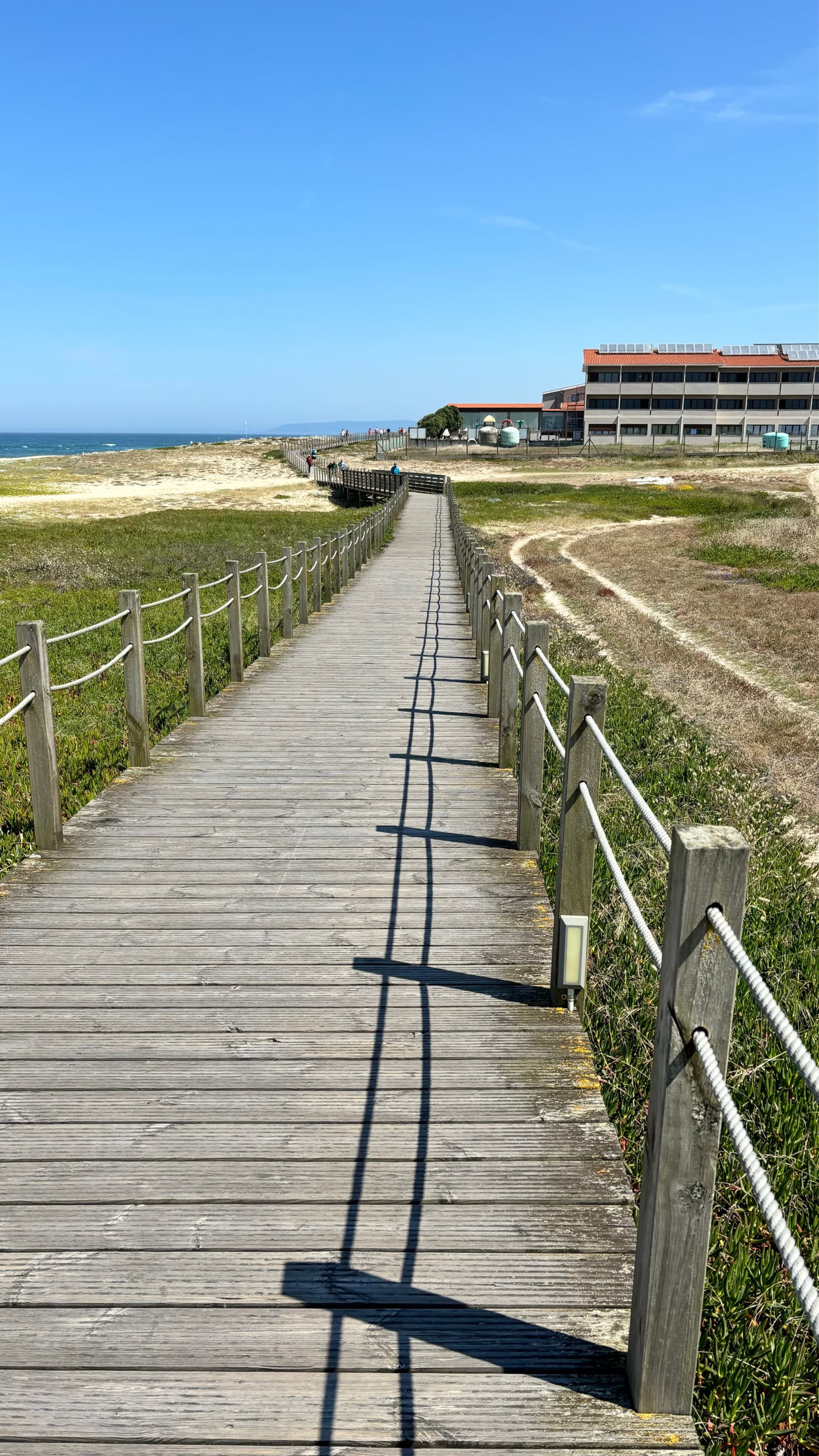 A wooden boardwalk stretches through grassy dunes toward a distant building under a clear blue sky