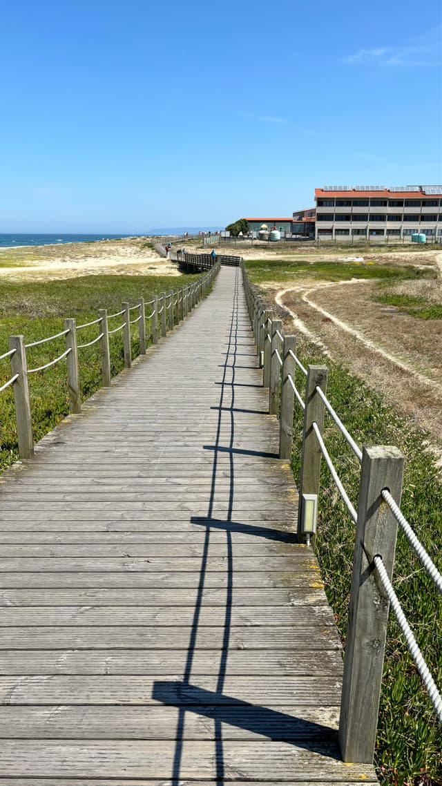A wooden boardwalk stretches through grassy dunes toward a distant building under a clear blue sky