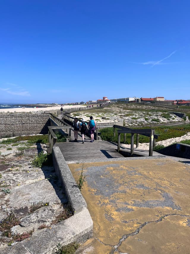 A group of people walking on a wooden pathway surrounded by sandy terrain and vegetation, with a clear blue sky above