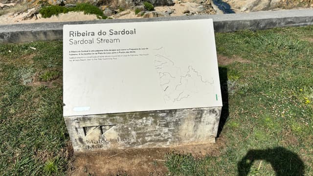 Walking through Matosinhos