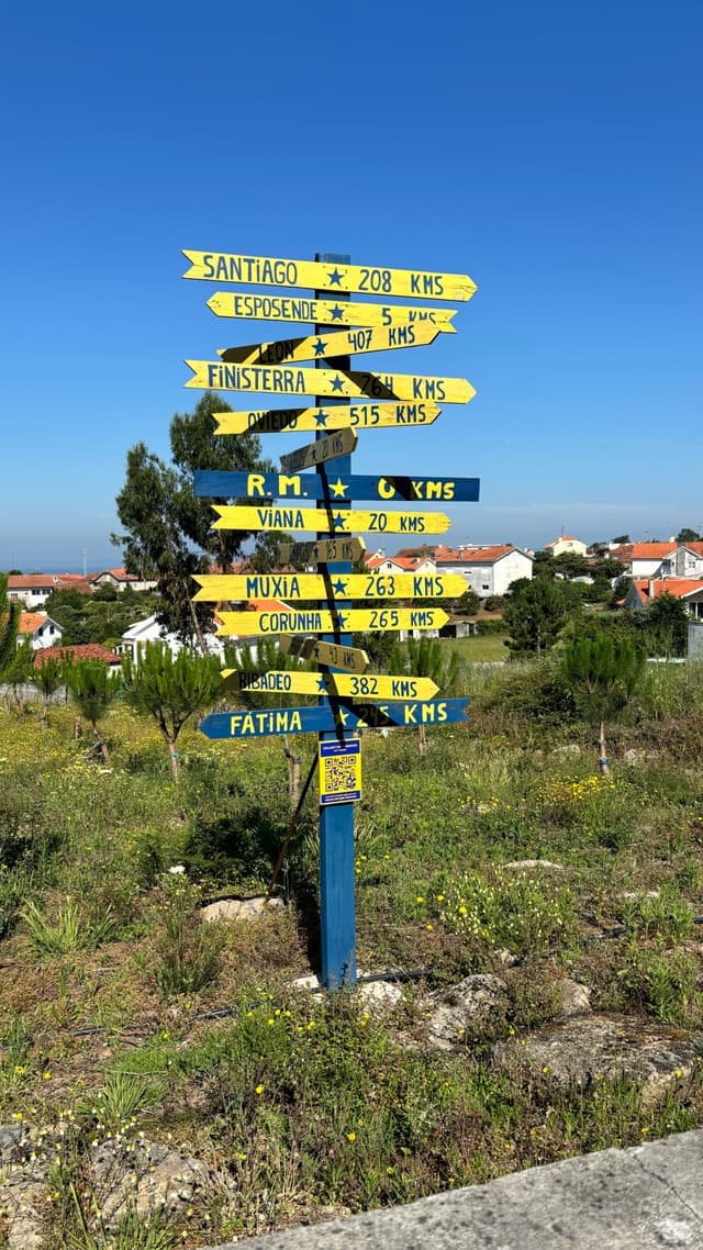A colorful signpost with multiple directional arrows indicating distances to various locations, set in a grassy area with houses in the background under a clear blue sky