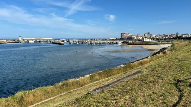 A coastal scene with a grassy foreground, a body of water, and a town in the background under a clear blue sky