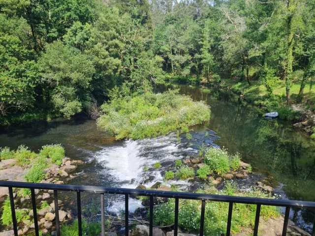 A scenic view of a river with a small waterfall, surrounded by lush green trees and vegetation, seen from behind a railing