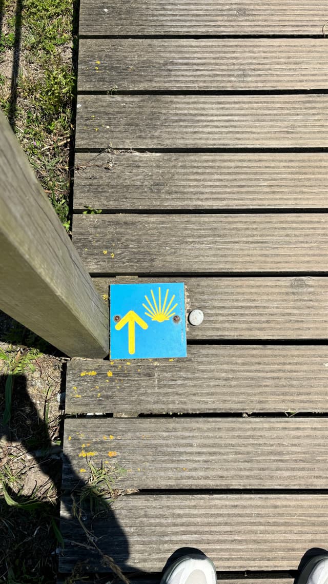 A wooden walkway with a blue and yellow Camino de Santiago marker featuring an arrow and a shell symbol