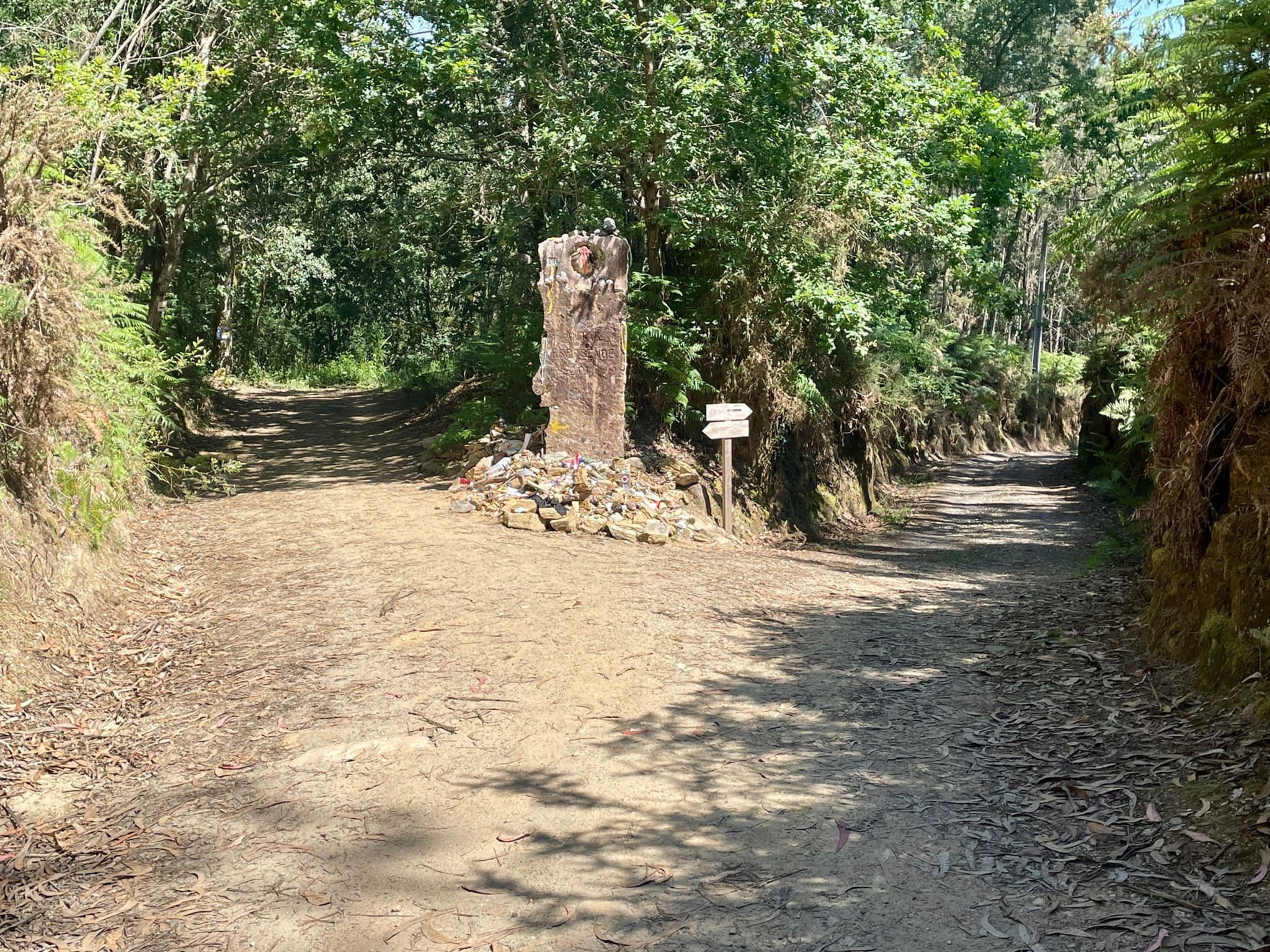 A dirt path in a wooded area splits into two directions, with a tree stump and a small sign at the fork