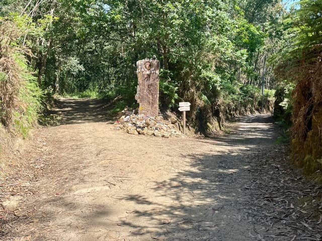 A dirt path in a wooded area splits into two directions, with a tree stump and a small sign at the fork