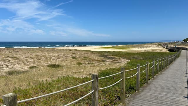 A wooden boardwalk runs alongside a sandy beach with grassy dunes, leading to the ocean under a clear blue sky
