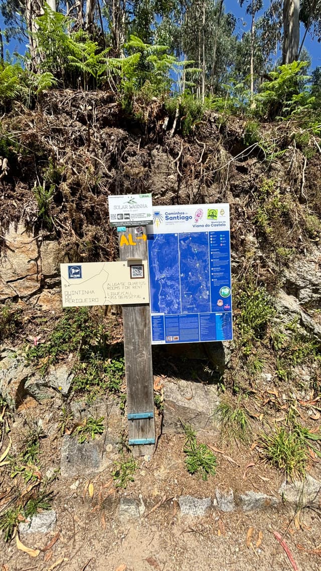 A trailhead sign with a map and various informational signs is mounted on a wooden post, surrounded by greenery and a dirt path