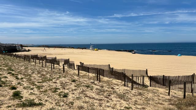 A sandy beach with a wooden fence, sparse vegetation, and a clear blue sky. The ocean is visible in the background