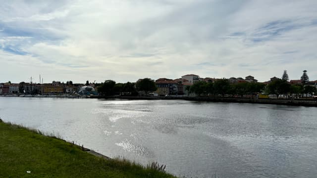 A river with a grassy bank in the foreground, lined with trees and buildings on the opposite side under a cloudy sky