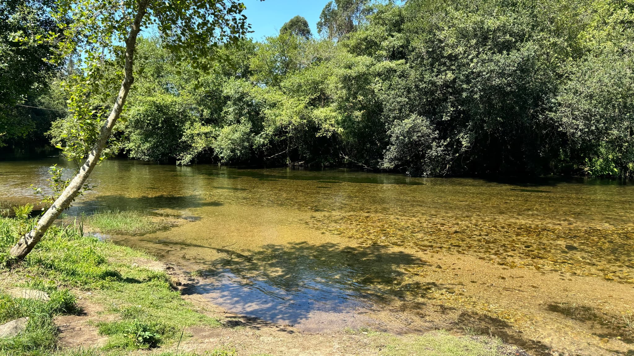 A tranquil river scene with clear water, surrounded by lush green trees and a grassy riverbank under a bright blue sky