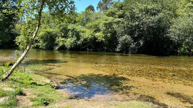 A tranquil river scene with clear water, surrounded by lush green trees and a grassy riverbank under a bright blue sky