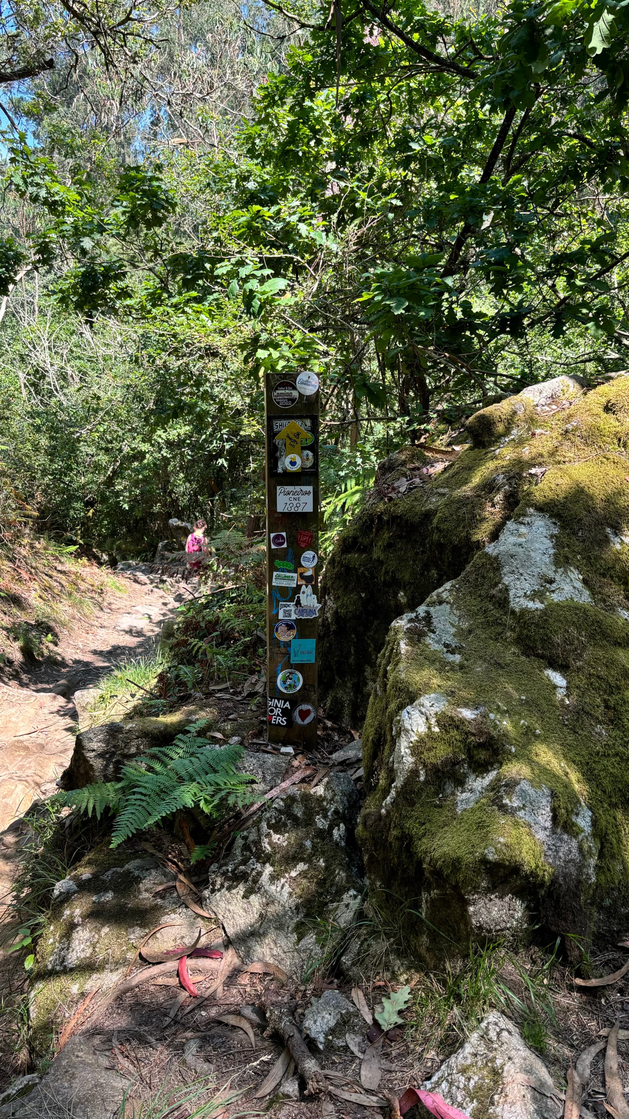 A forest trail with a signpost covered in stickers, surrounded by lush greenery and large moss-covered rocks. A person is visible in the distance along the path