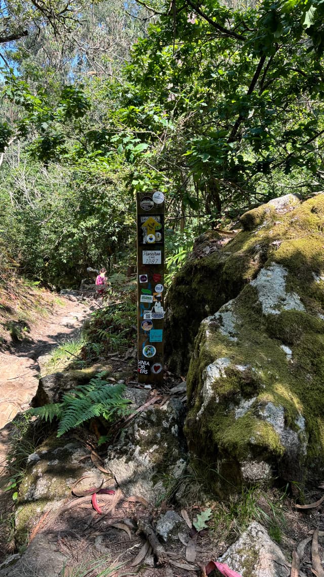 A forest trail with a signpost covered in stickers, surrounded by lush greenery and large moss-covered rocks. A person is visible in the distance along the path