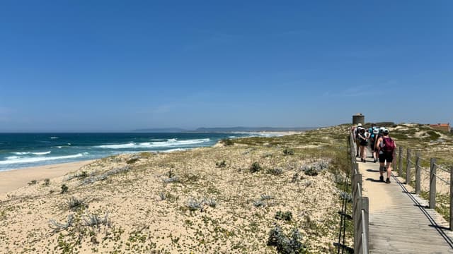 A coastal landscape with a sandy beach and ocean waves on the left, a wooden boardwalk on the right, and people walking along it under a clear blue sky