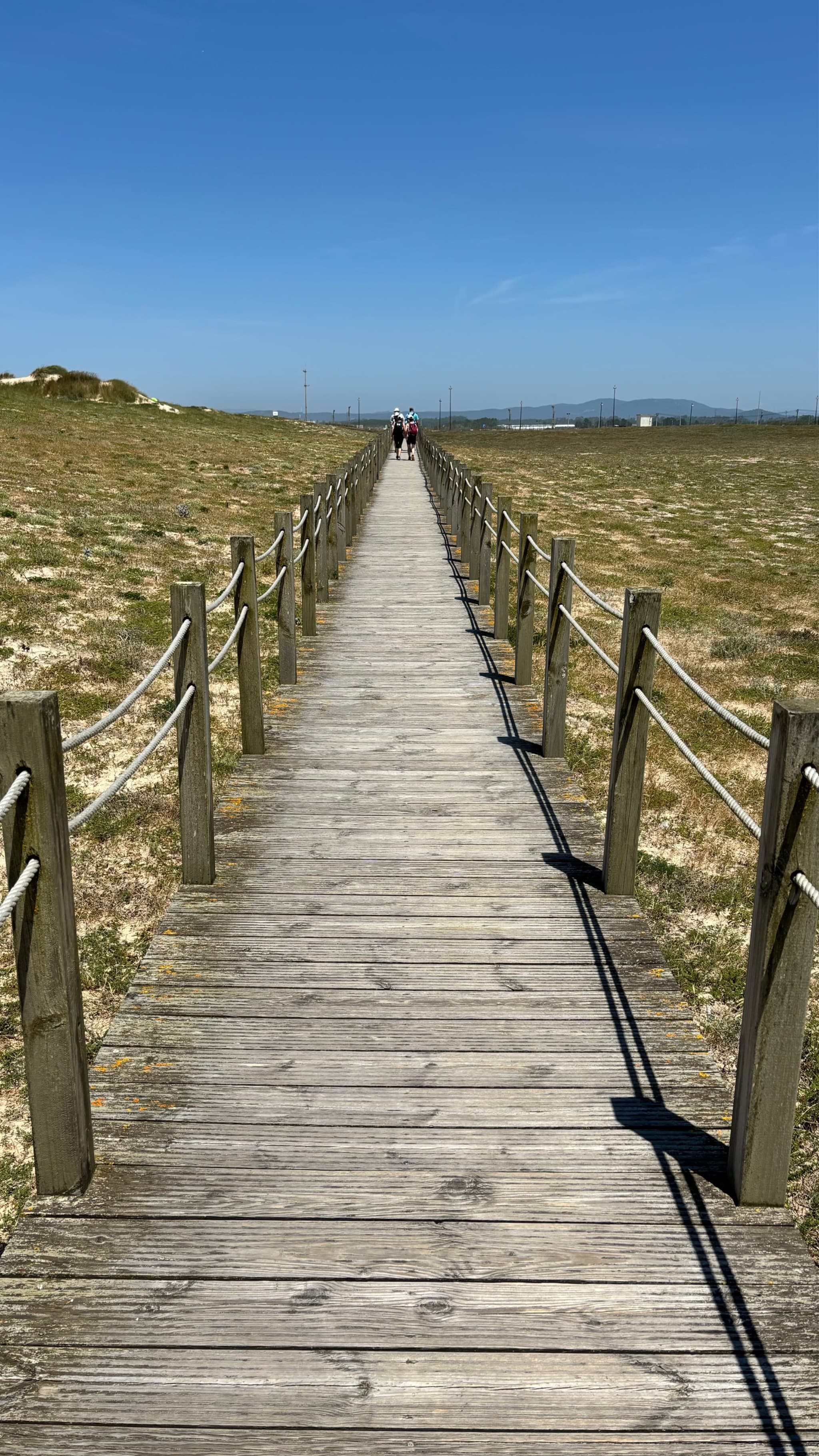 A wooden boardwalk stretches into the distance, flanked by grassy fields under a clear blue sky