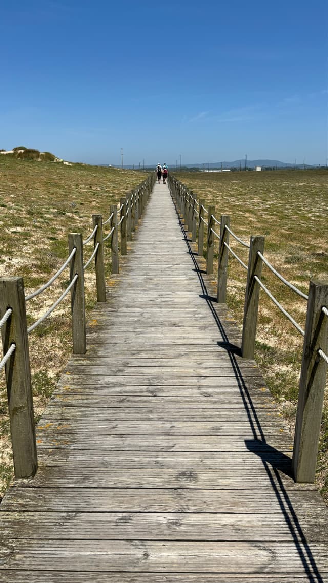 A wooden boardwalk stretches into the distance, flanked by grassy fields under a clear blue sky